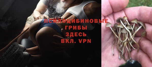 бошки Магас