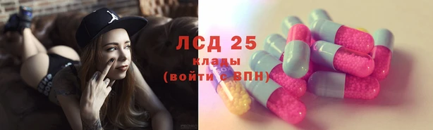 крисы Майский