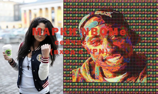 крисы Майский