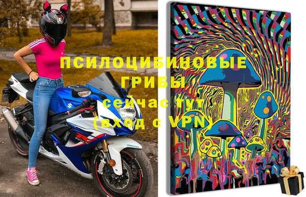 дживик Домодедово