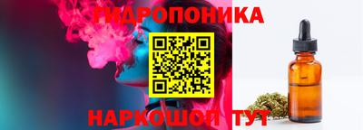 гашик Балахна