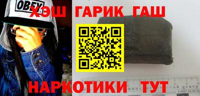 индика Дубна