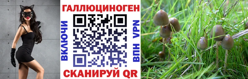 Псилоцибиновые грибы ЛСД  дарнет шоп  ОМГ ОМГ ONION  Набережные Челны 