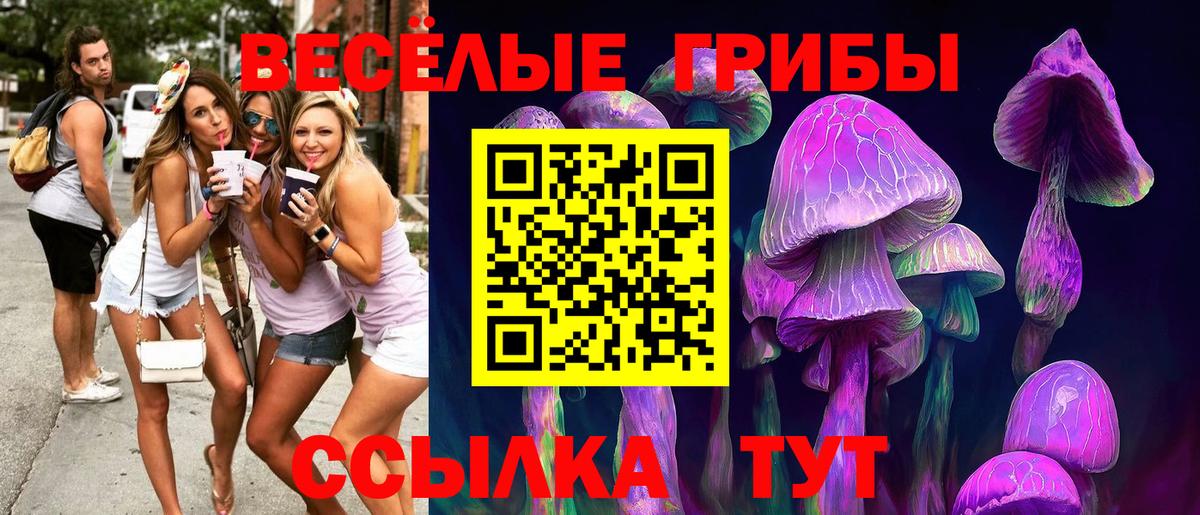 Галлюциногенные грибы прущие грибы Набережные Челны